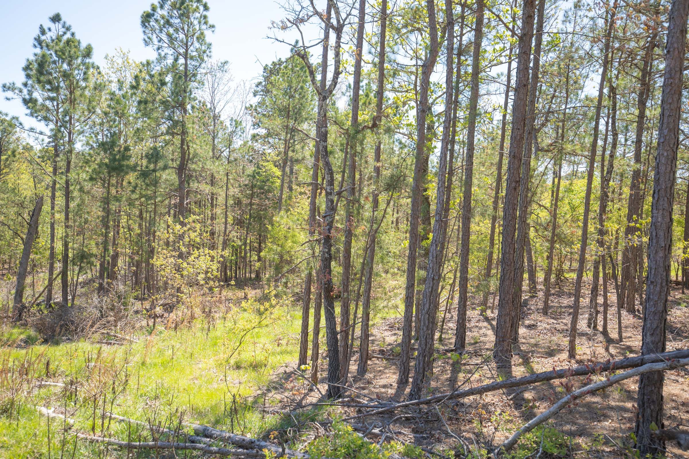 Eagle’s Nest Tract 16 photo 4