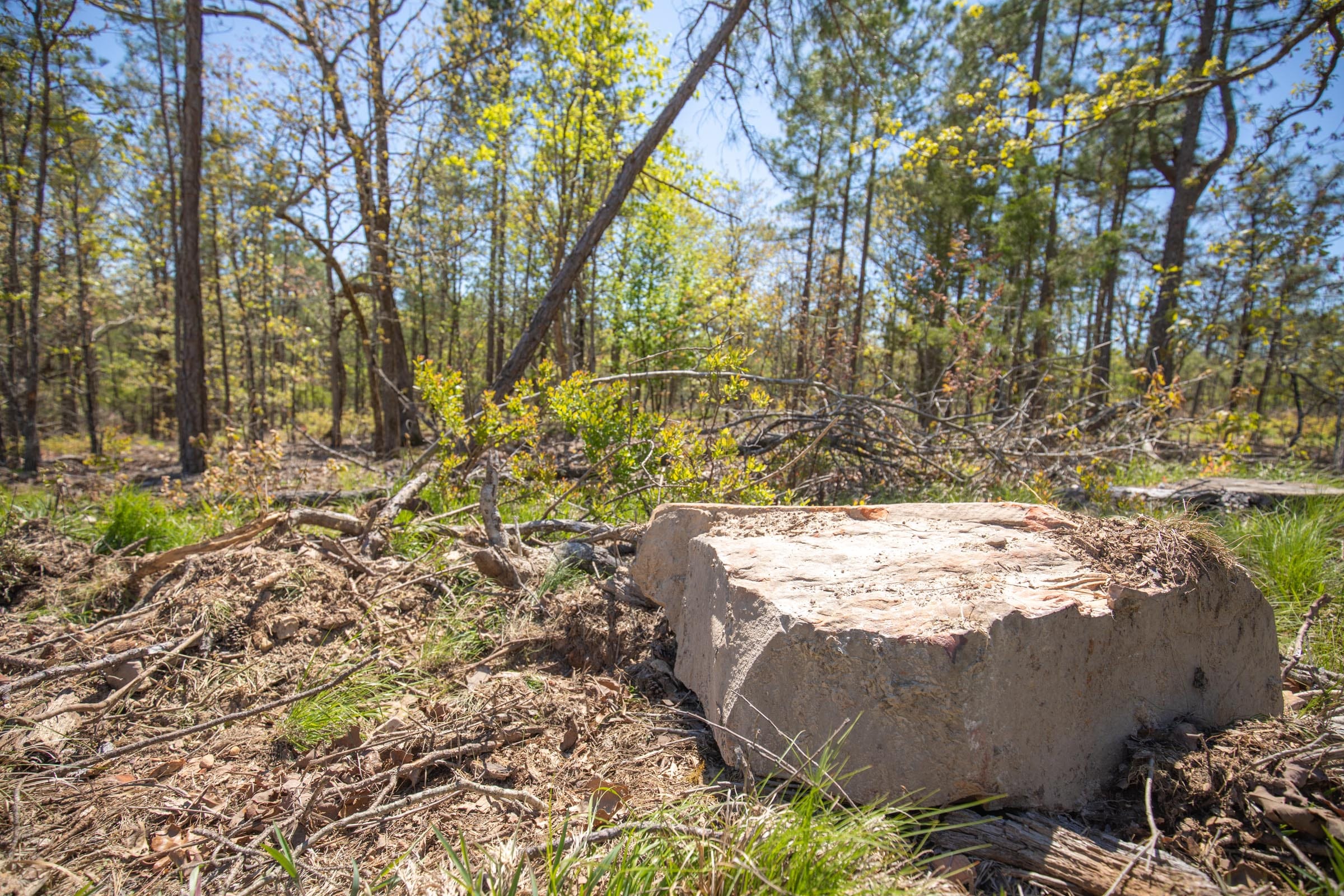 Eagle’s Nest Tract 16 photo 5