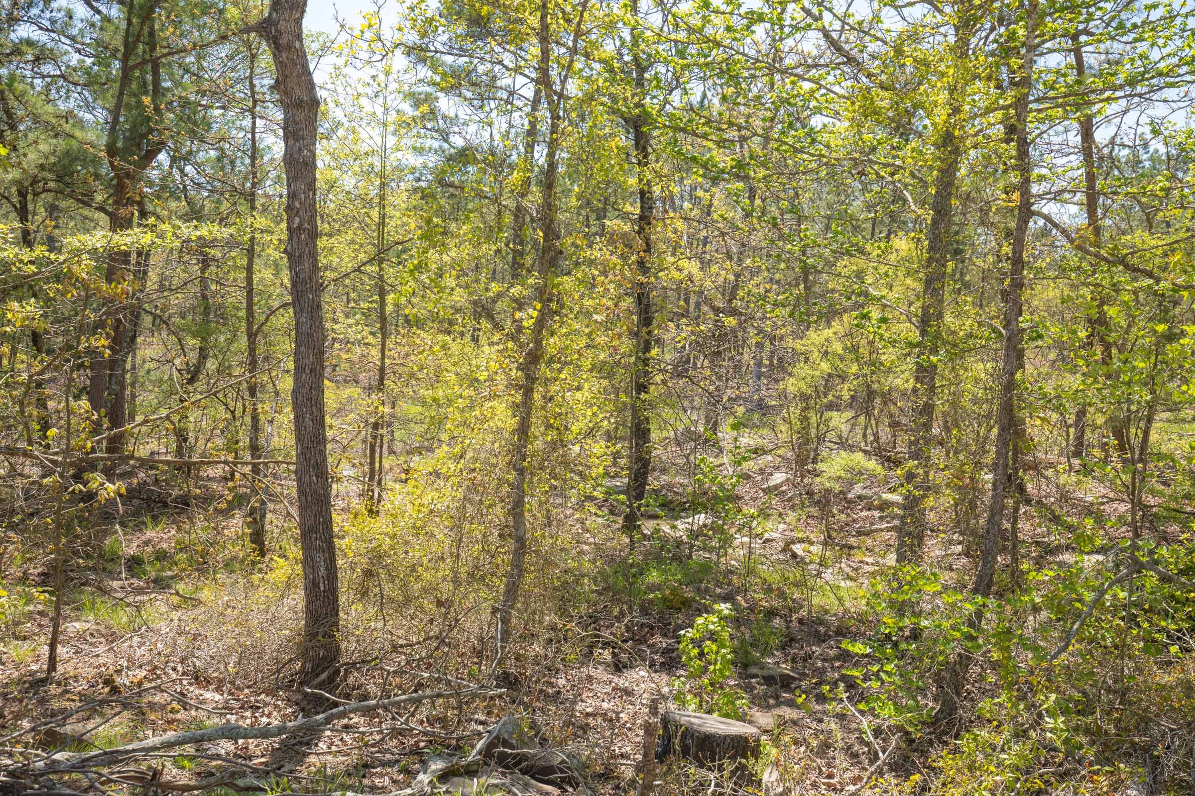 Eagle’s Nest Tract 16 photo 6