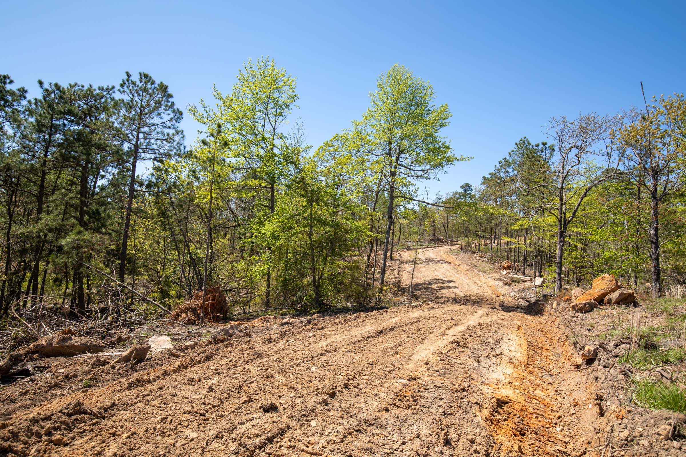 Eagle’s Nest Tract 16 photo 2