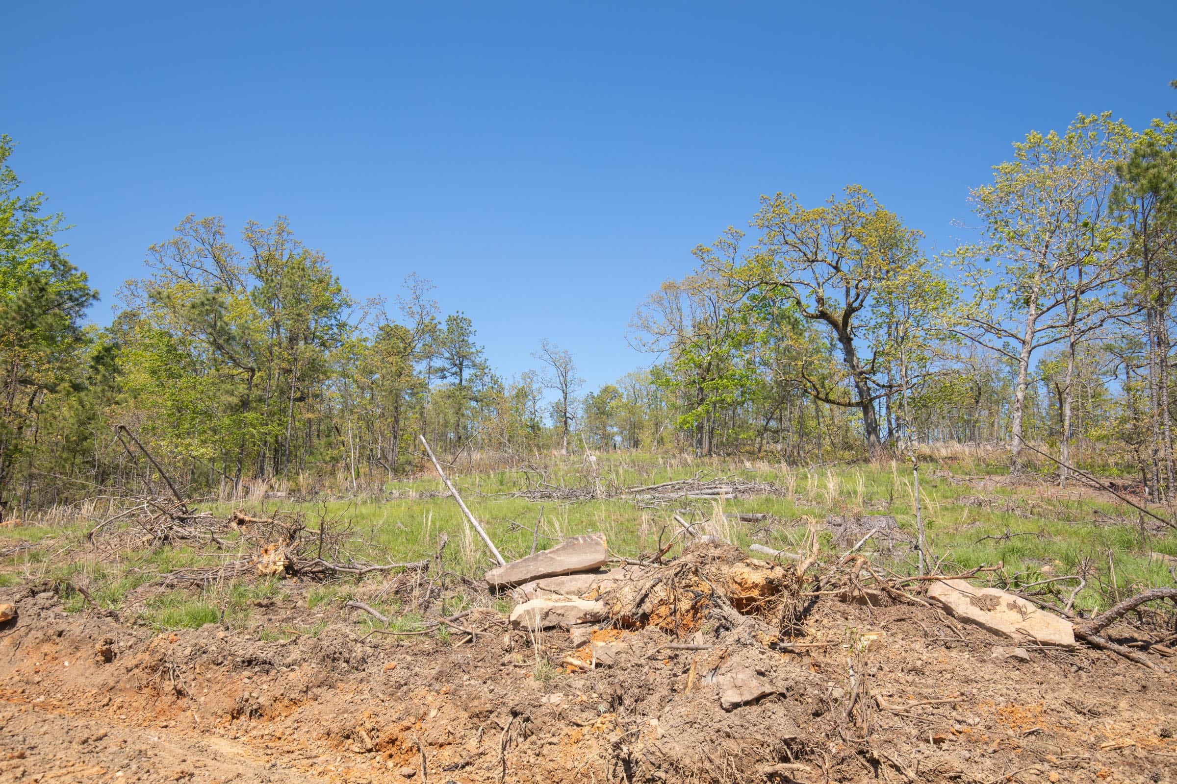 Eagle’s Nest Tract 16 photo 7