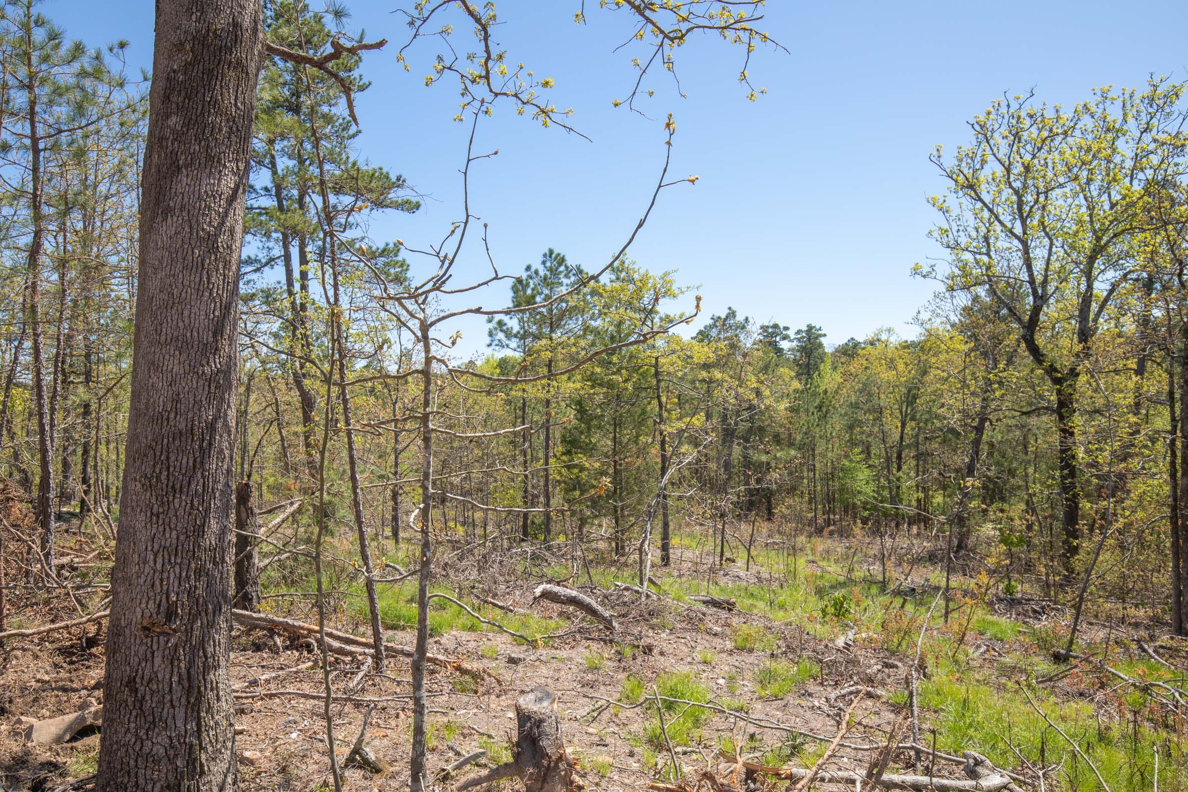 Eagle’s Nest Tract 16 photo 8