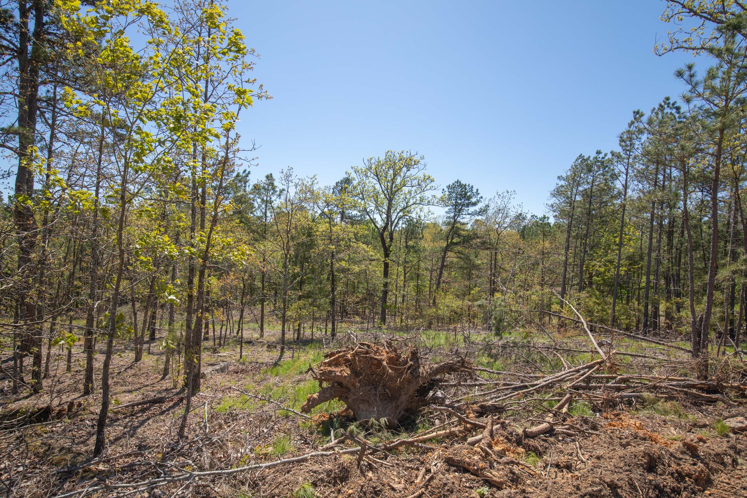 Eagle’s Nest Tract 16 photo 9