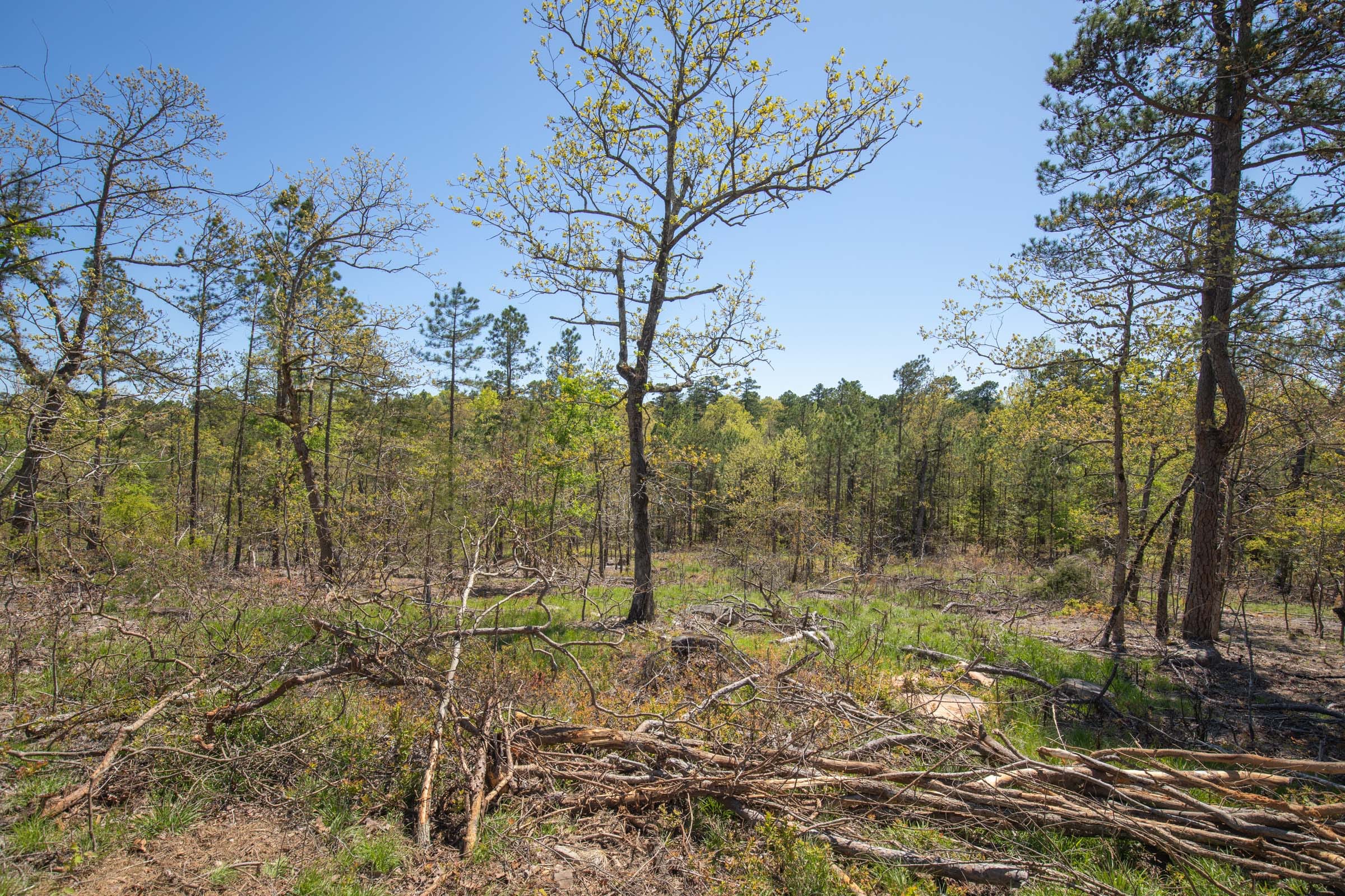 Eagle’s Nest Tract 16 photo 10