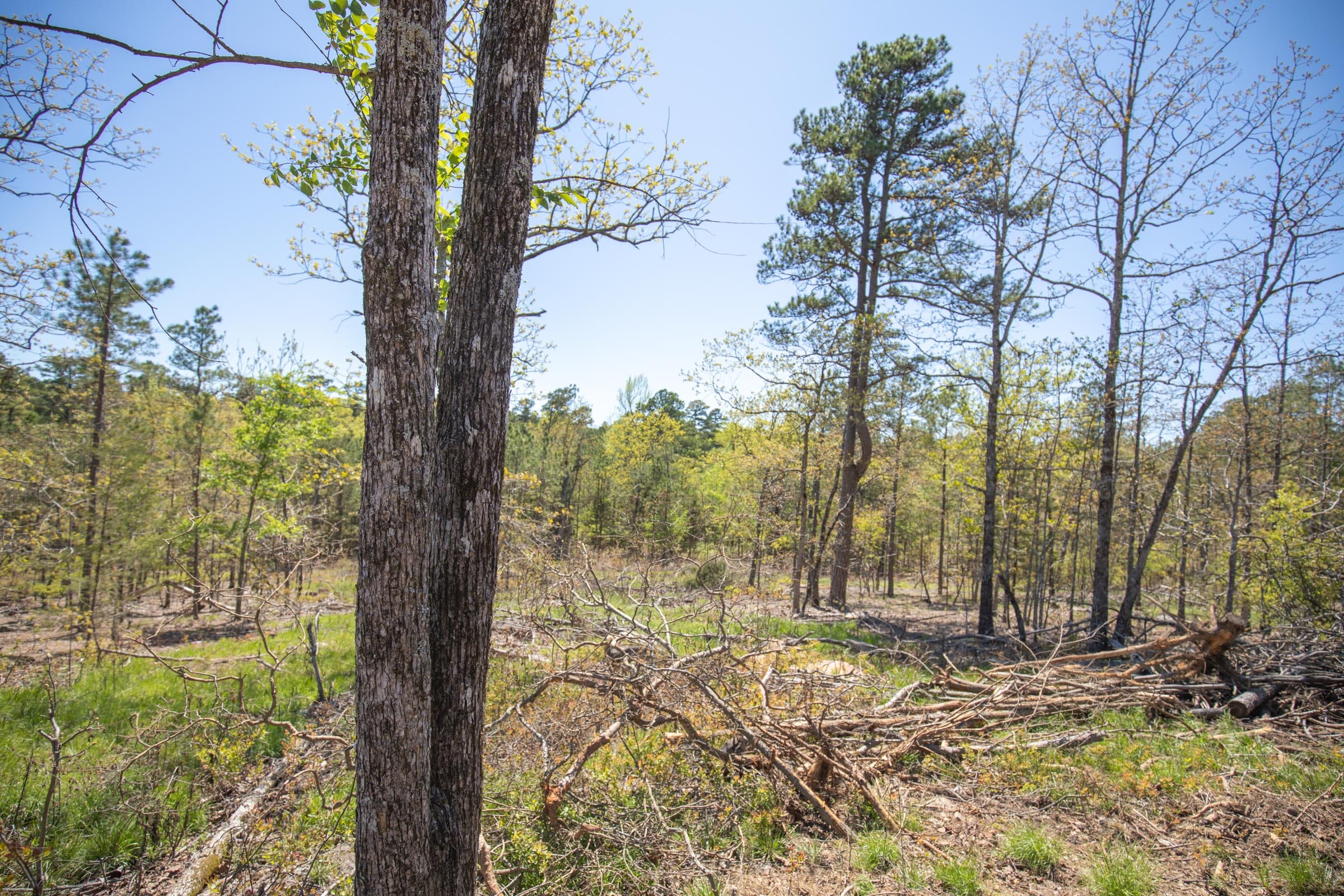Eagle’s Nest Tract 16 photo 11