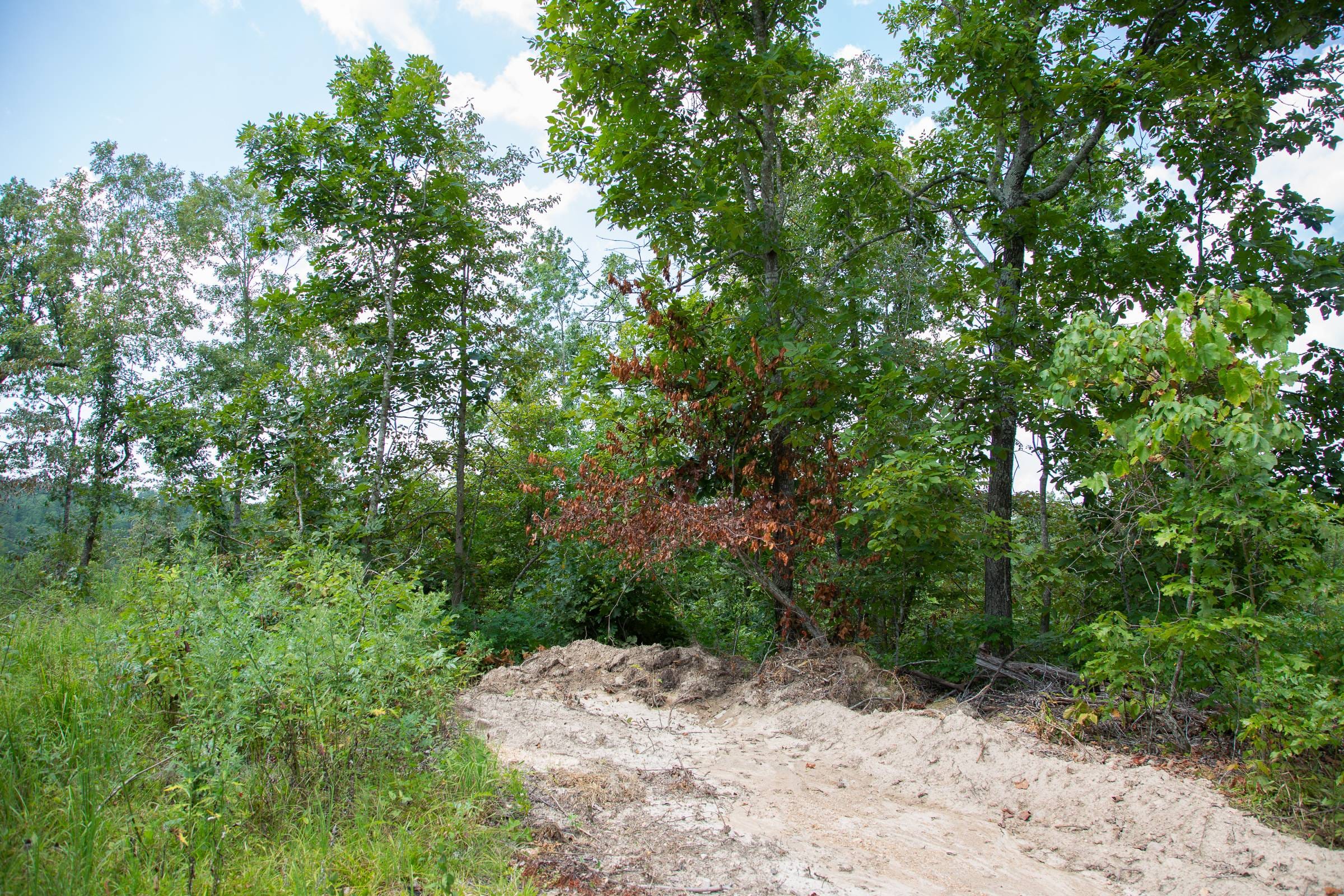 Borgmann’s Hollow Phase I Tract 5 photo 2
