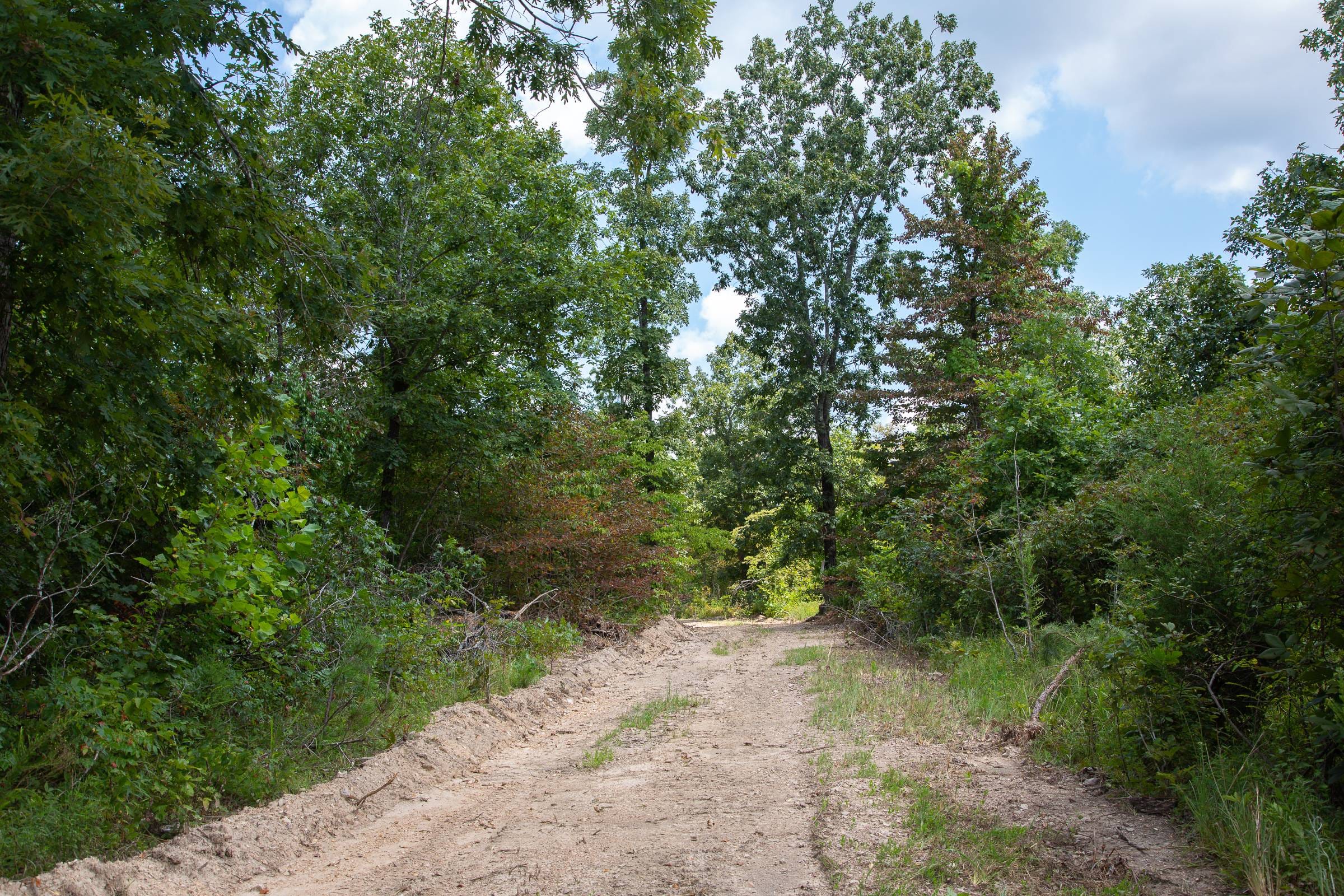 Borgmann’s Hollow Phase I Tract 5 photo 1