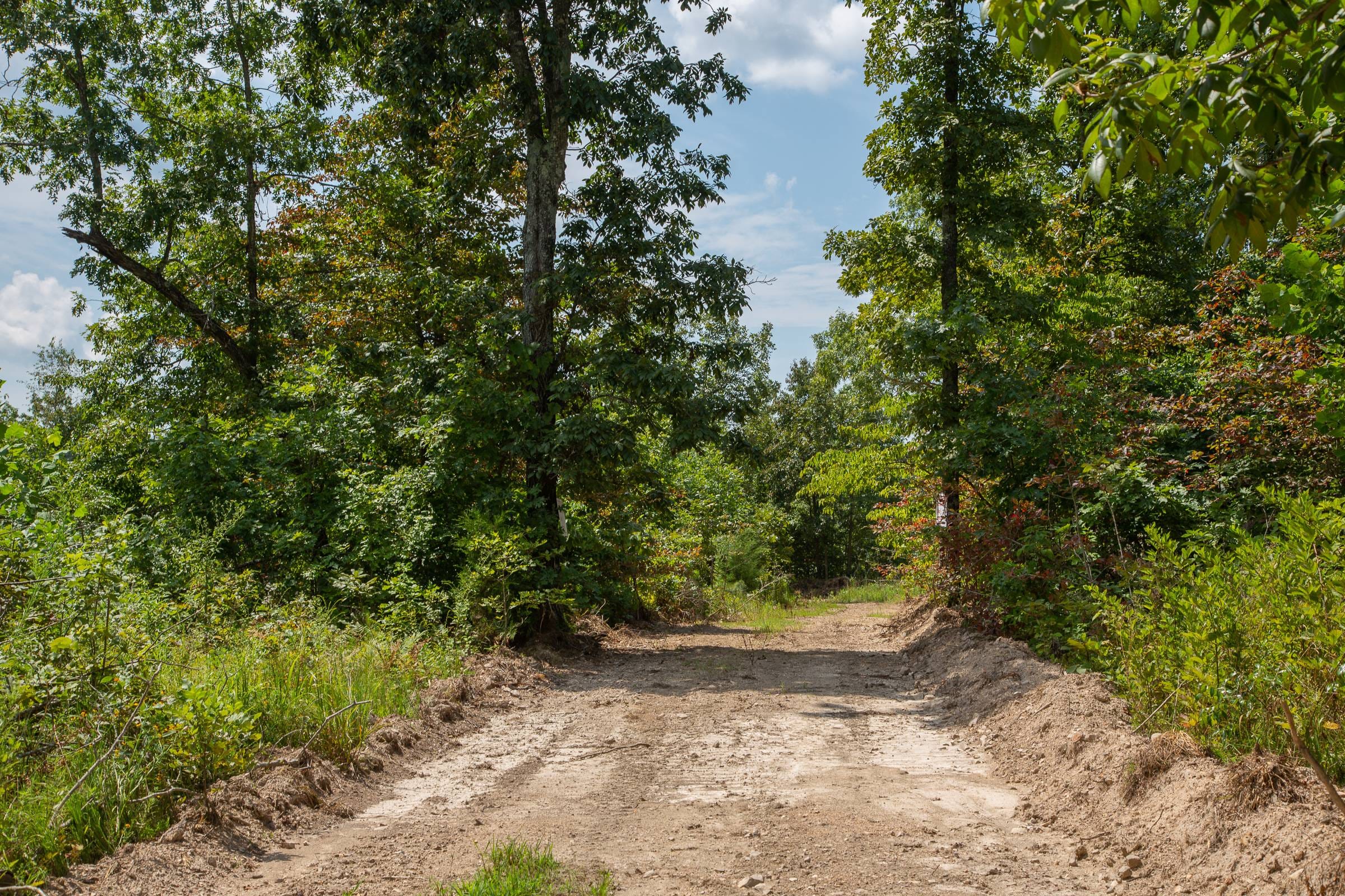 Borgmann’s Hollow Phase I Tract 5 photo 6