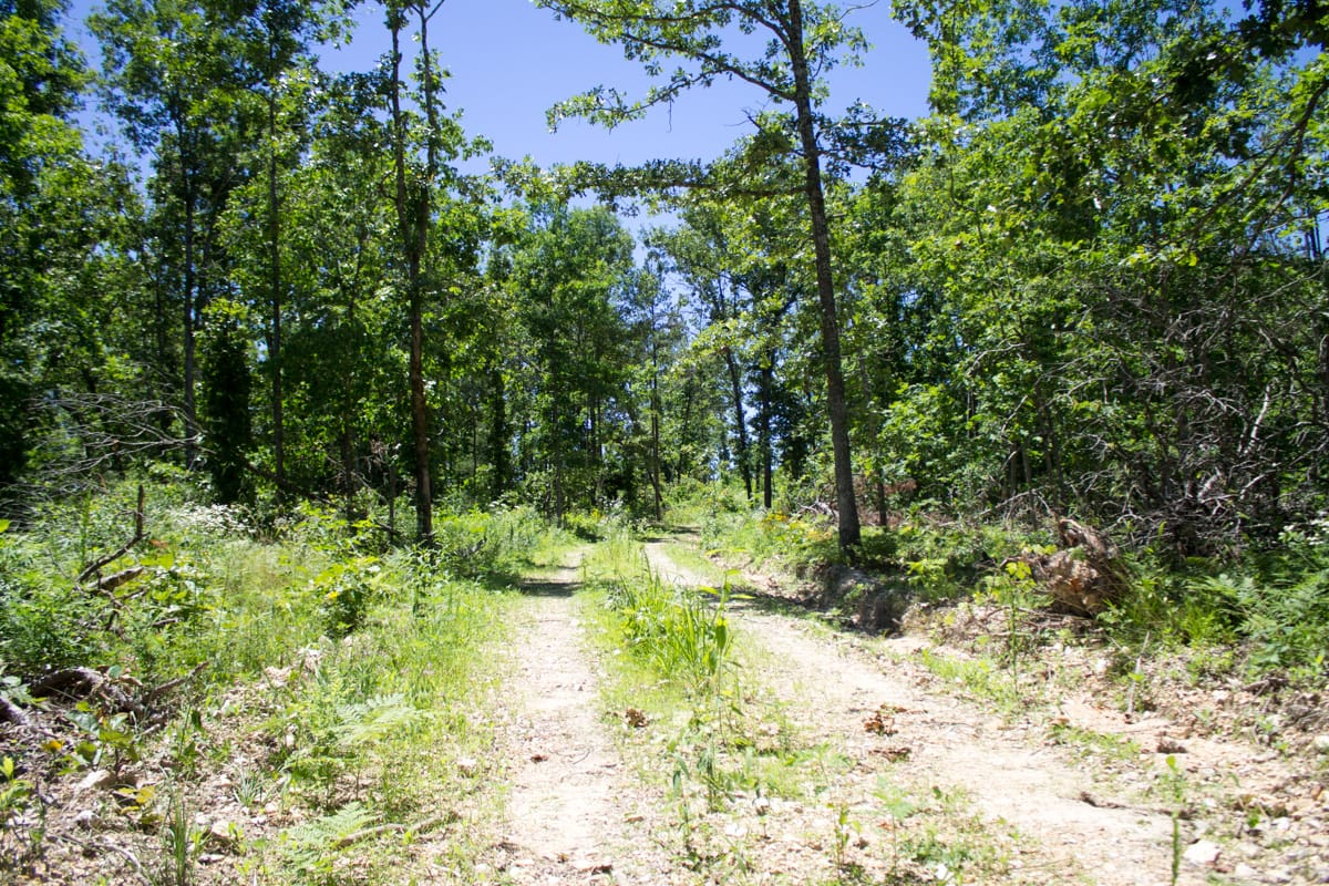 Timber Crossing Tract 23 photo 2
