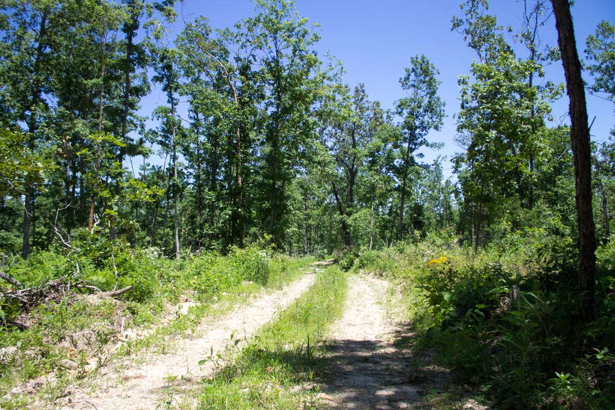 Timber Crossing Tract 23 photo 3