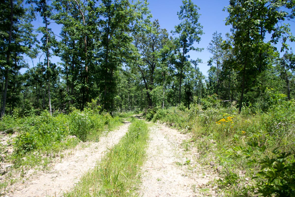Timber Crossing Tract 23 photo 4