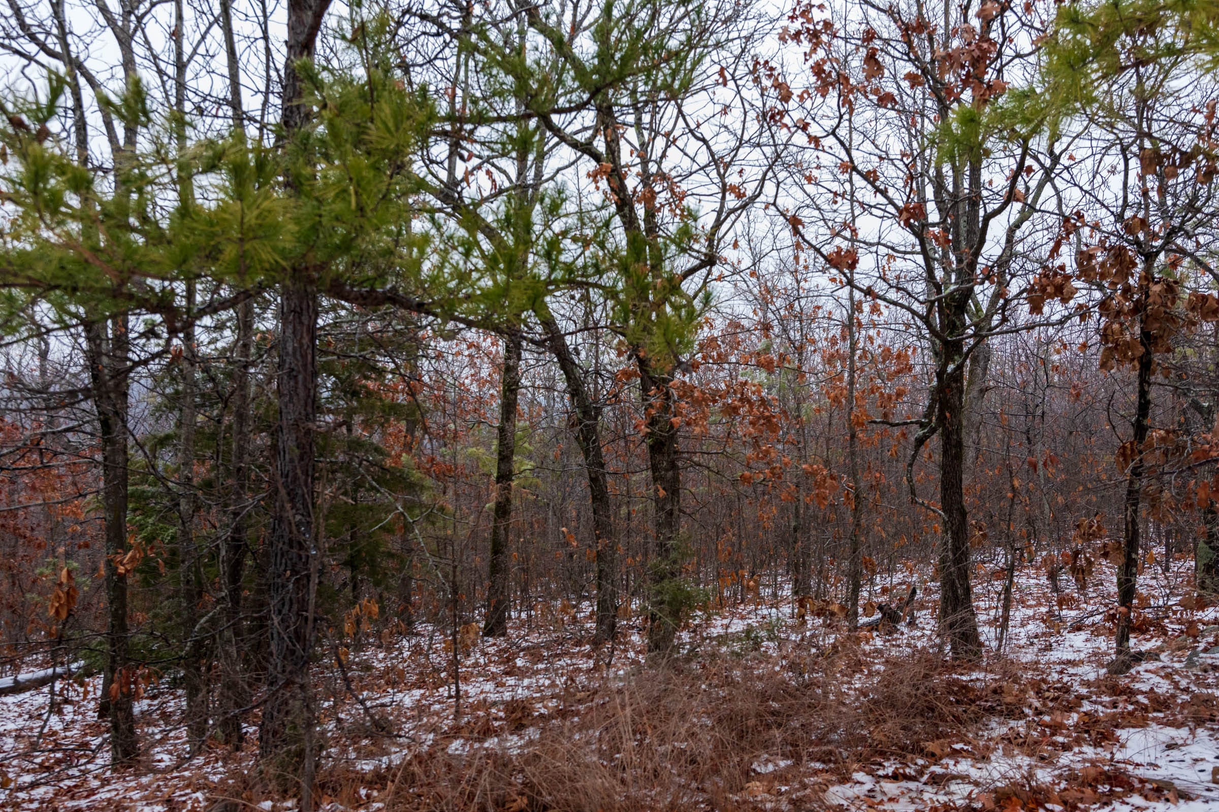 Stone Bridge Phase IV Tract 324 photo 6