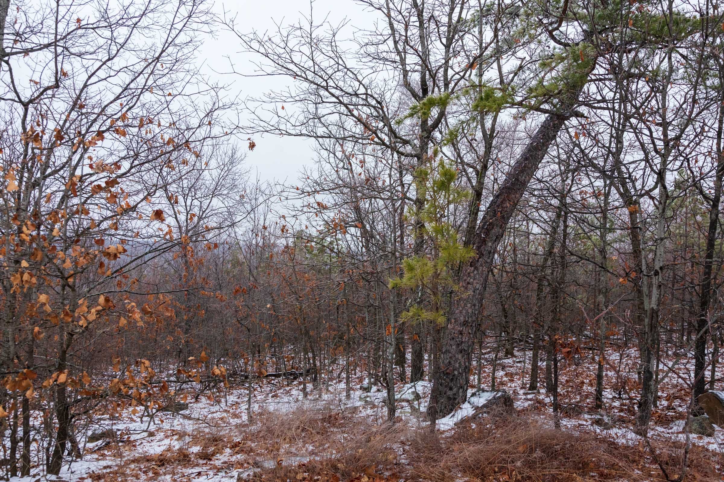 Stone Bridge Phase IV Tract 324 photo 9