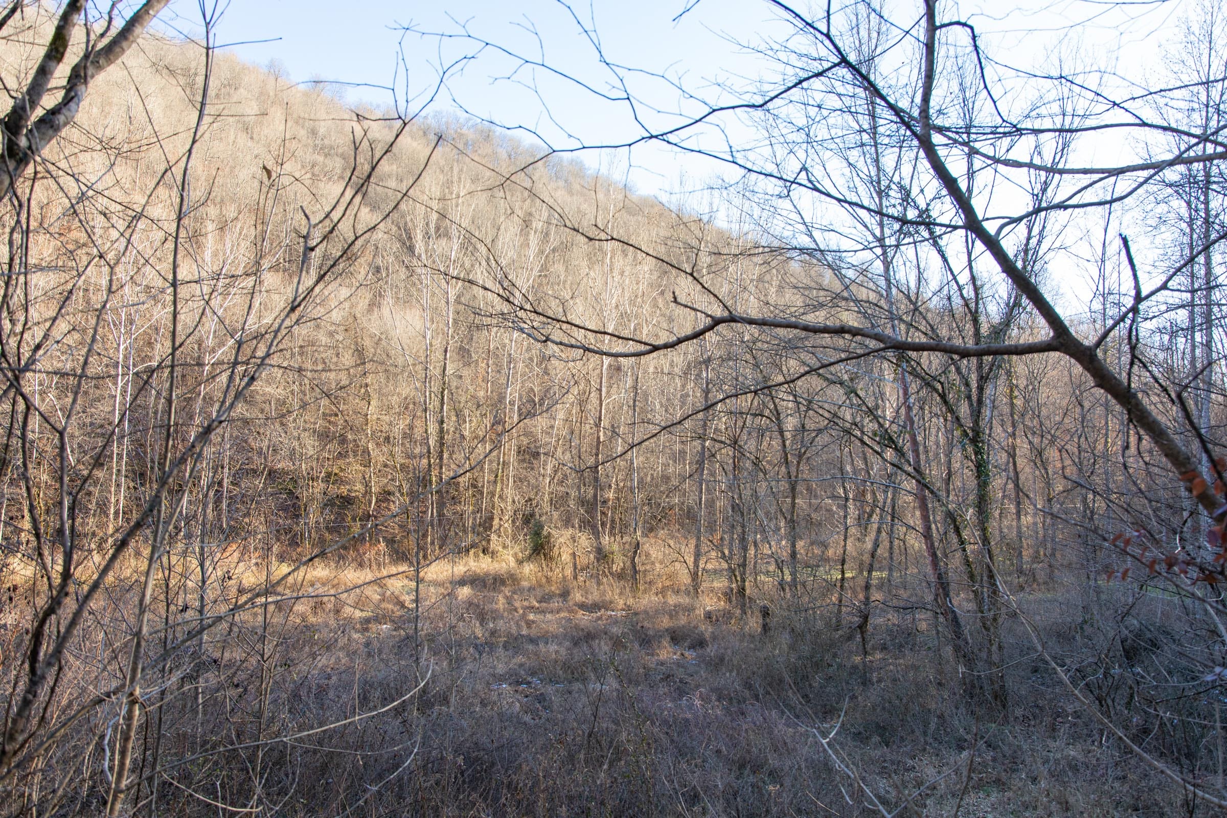 Blackstone Mountain Phase I Tract 1 photo 8