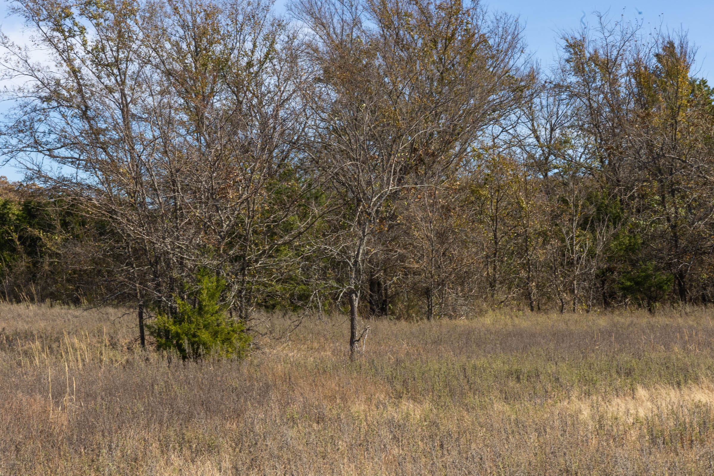 Harmony Hills Tract 46 photo 9