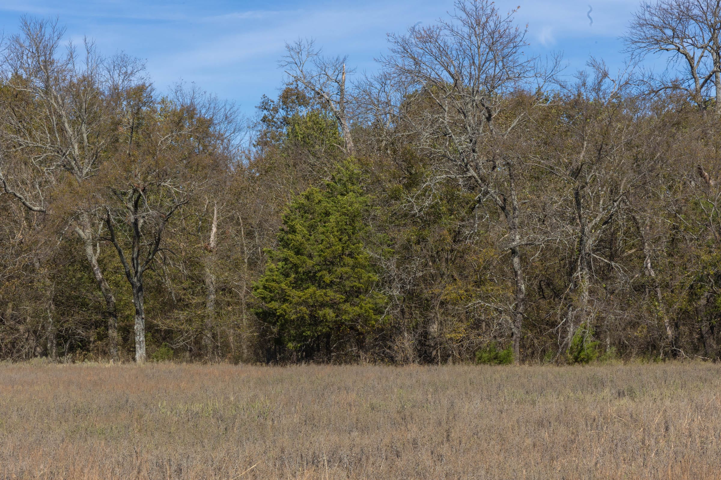 Harmony Hills Tract 46 photo 4