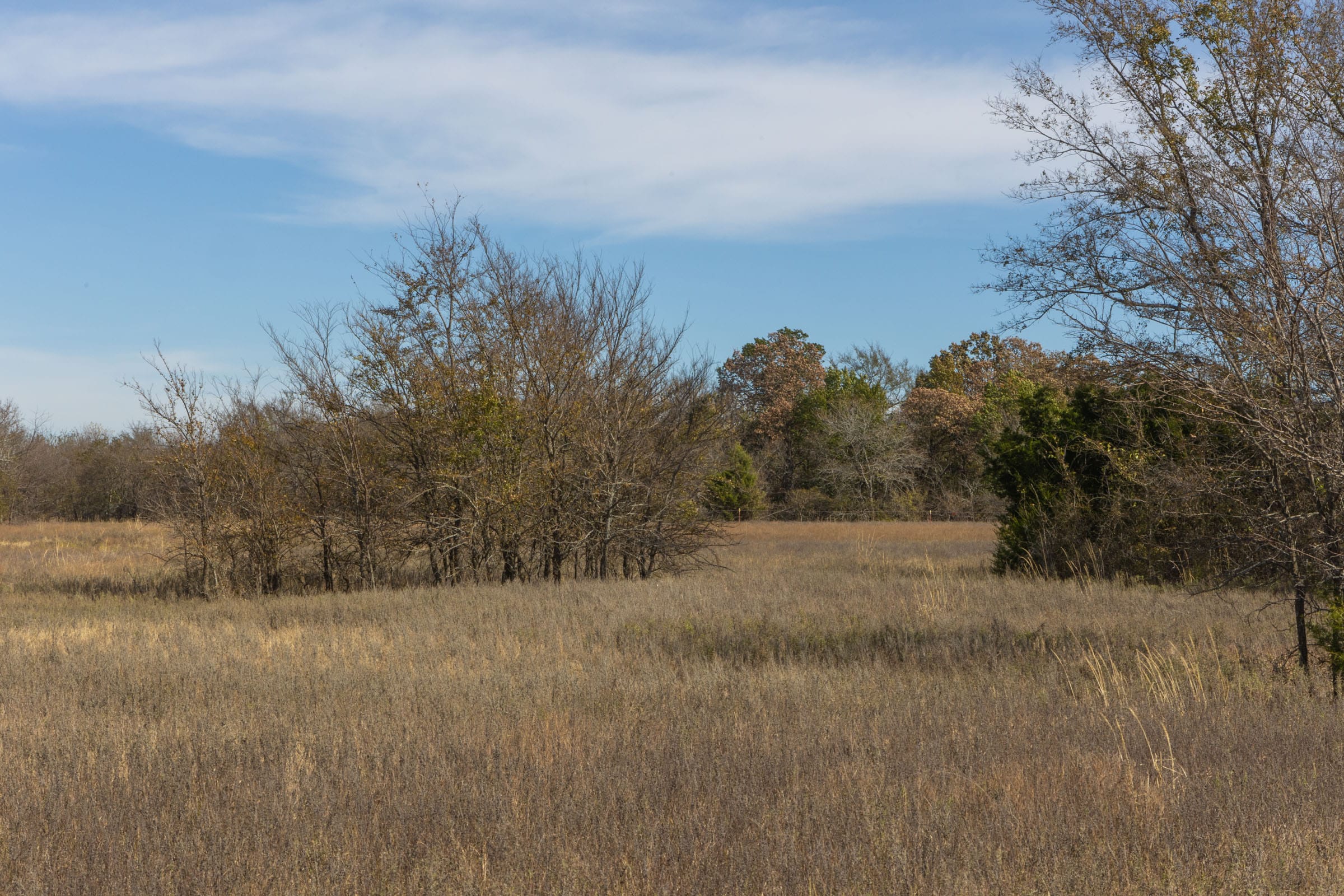 Harmony Hills Tract 46 photo 6