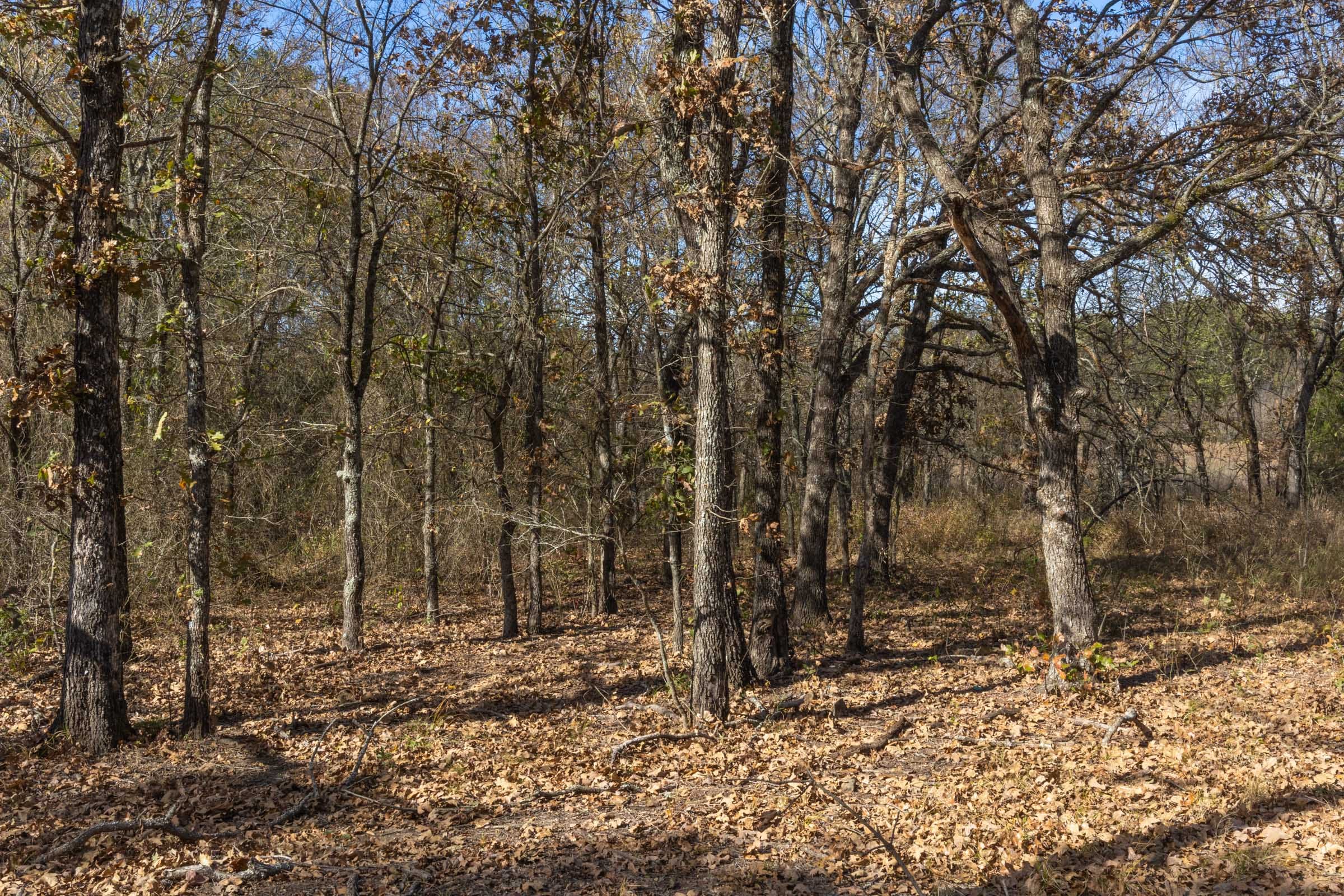 Harmony Hills Tract 46 photo 3