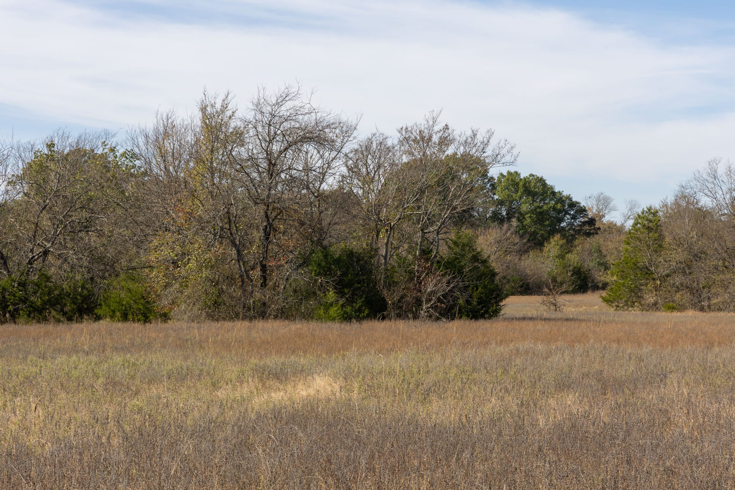 Harmony Hills Tract 46 photo 2