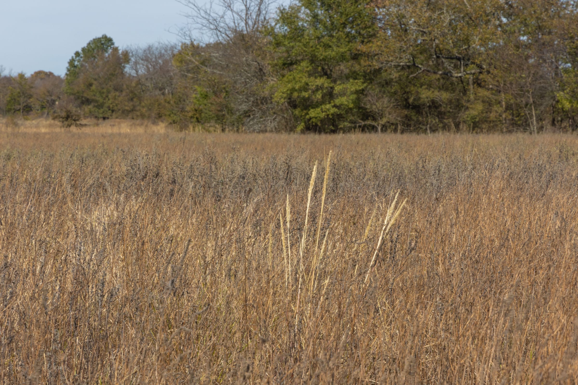 Harmony Hills Tract 46 photo 10