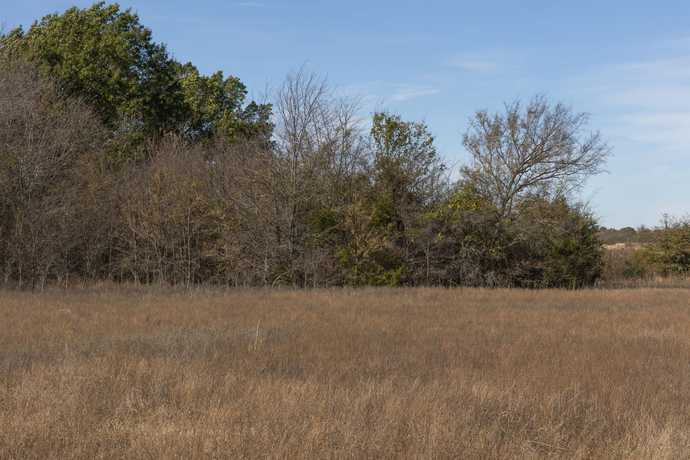 Harmony Hills Tract 46 photo 7