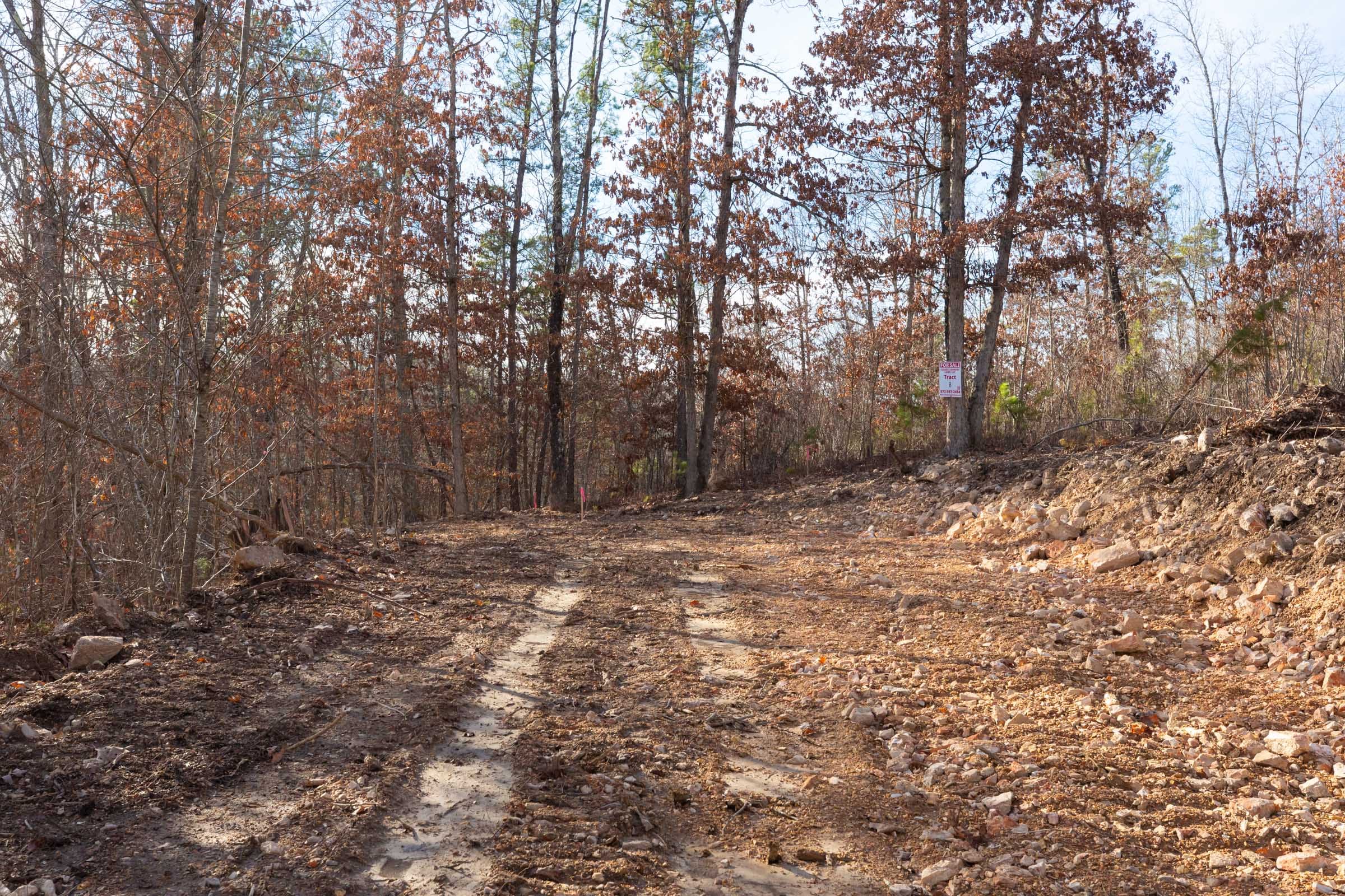 Windy Ridge Tract 8 photo 5