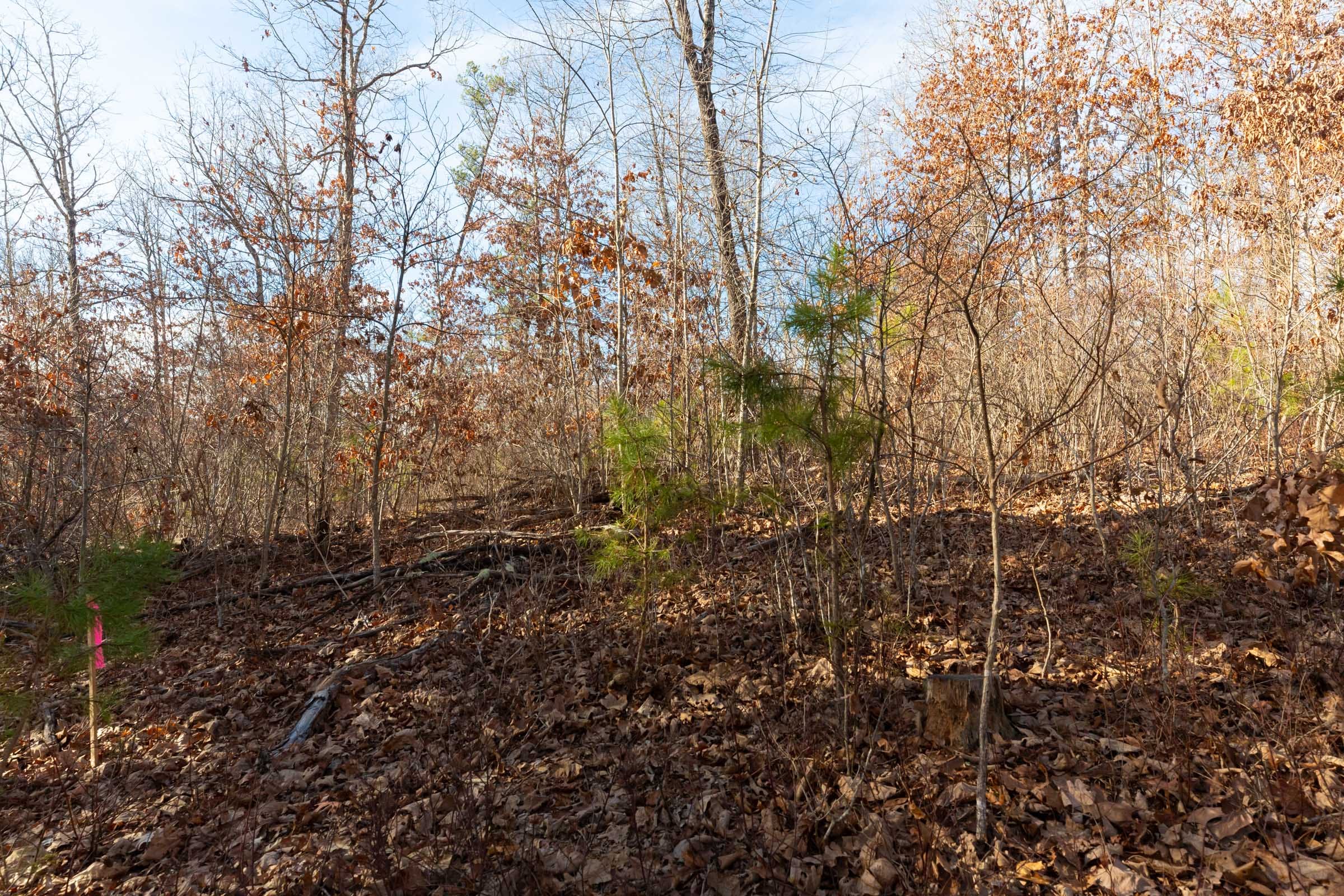 Windy Ridge Tract 8 photo 2