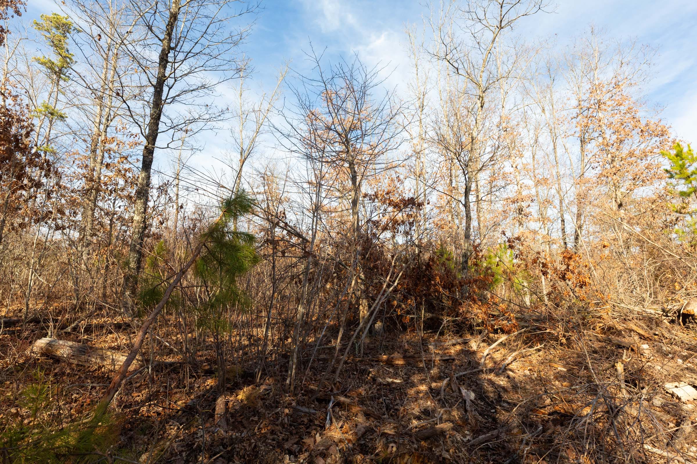 Windy Ridge Tract 8 photo 9
