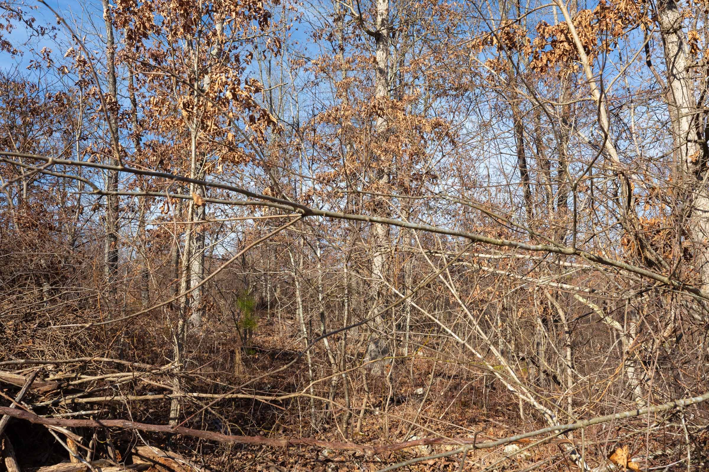 Windy Ridge Tract 8 photo 8