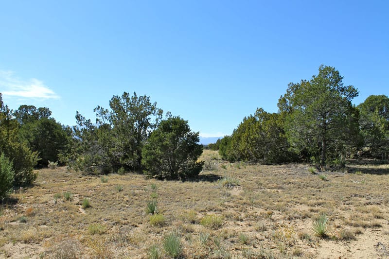 Black Diamond Park Tract 11 photo 3