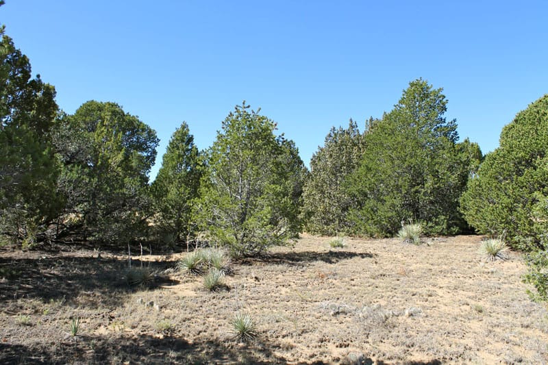 Black Diamond Park Tract 11 photo 8