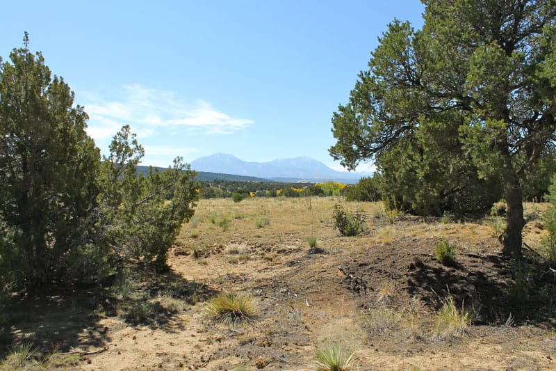Black Diamond Park Tract 11 photo 9