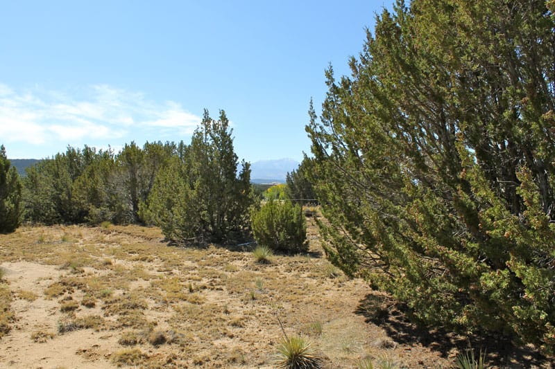 Black Diamond Park Tract 11 photo 11
