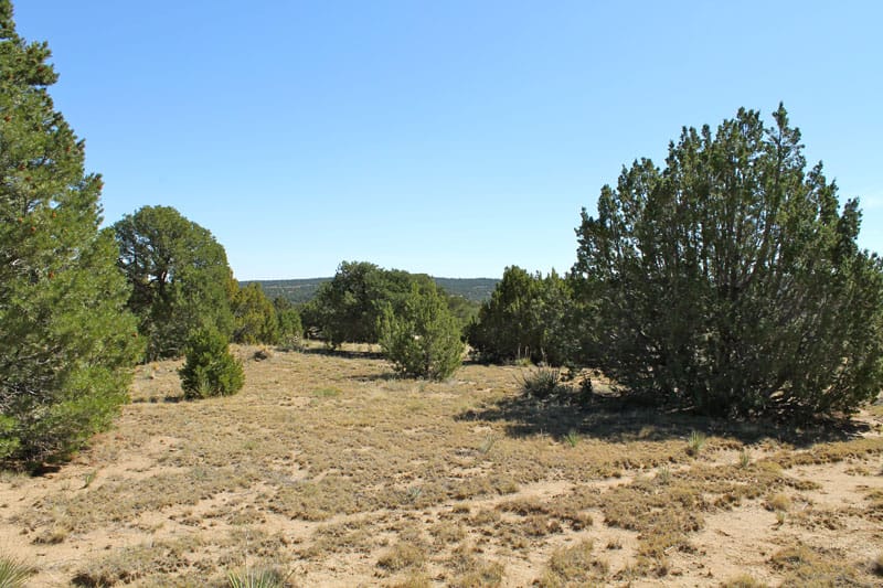 Black Diamond Park Tract 11 photo 14