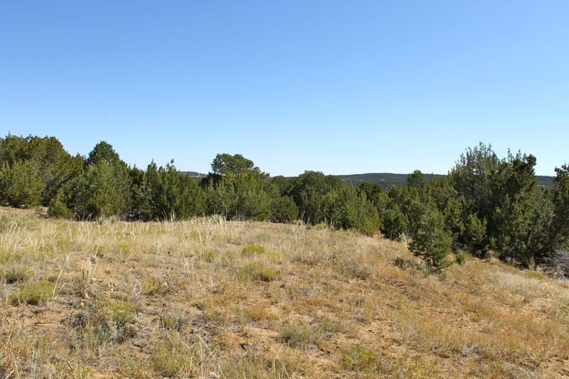 Black Diamond Park Tract 11 photo 16