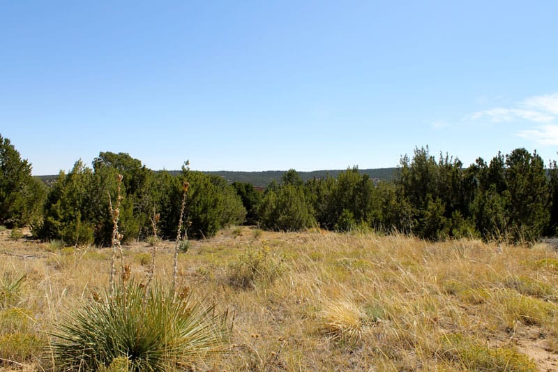Black Diamond Park Tract 11 photo 20