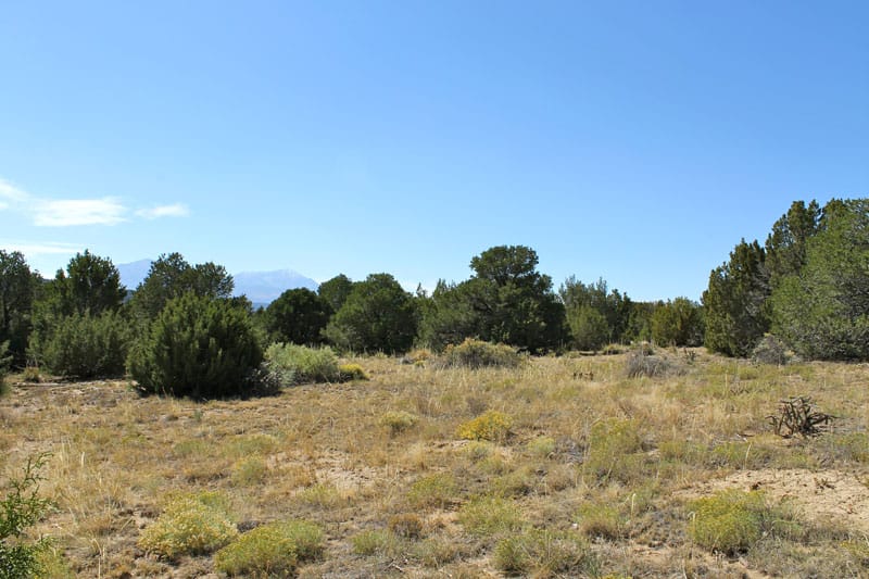 Black Diamond Park Tract 11 photo 23