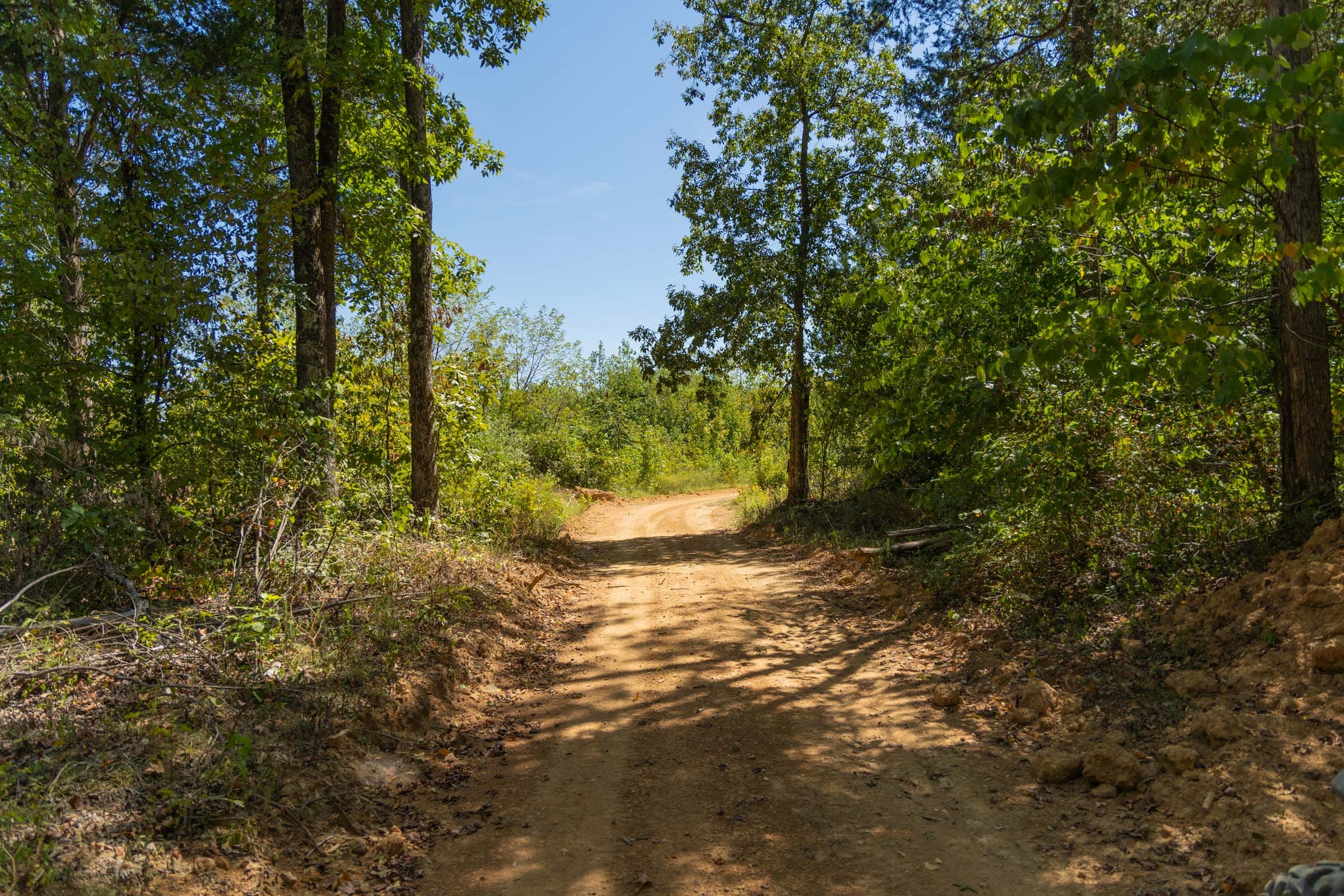 Big White Oak Tract 58 photo 1