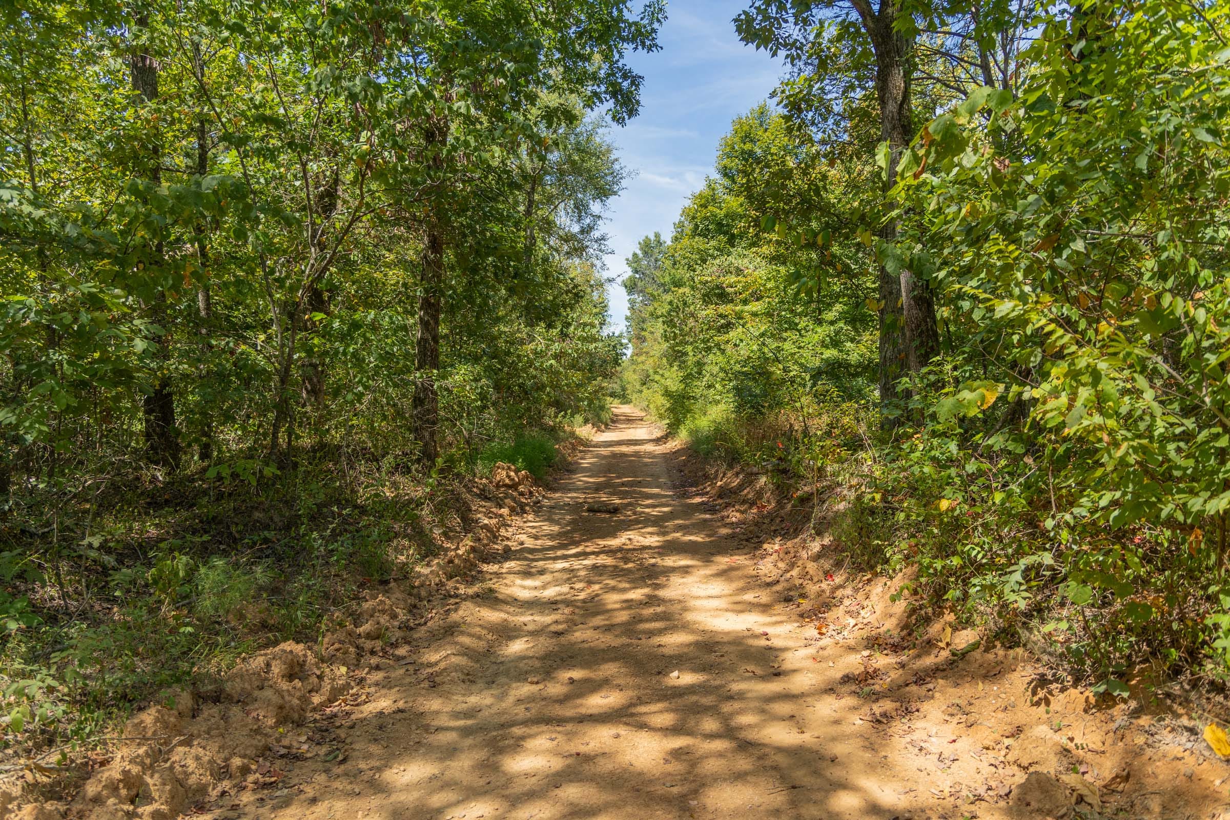 Big White Oak Tract 58 photo 4
