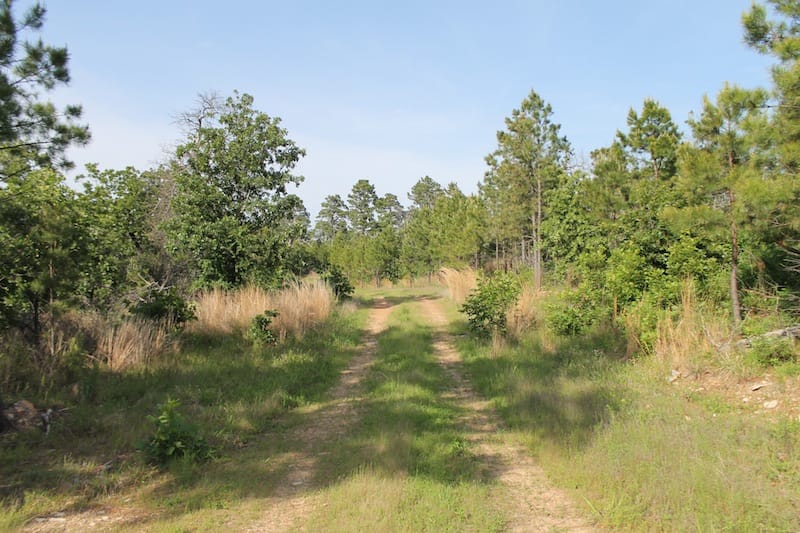 Indian Ridge – Phase II Tract 39 photo 1