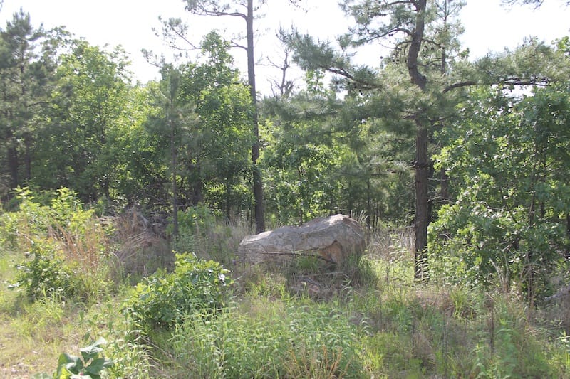 Indian Ridge – Phase II Tract 39 photo 2
