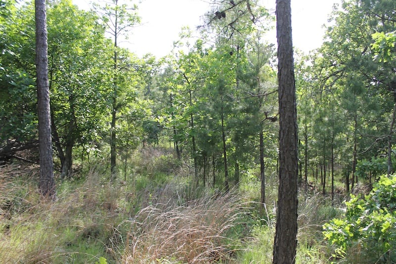Indian Ridge – Phase II Tract 39 photo 3