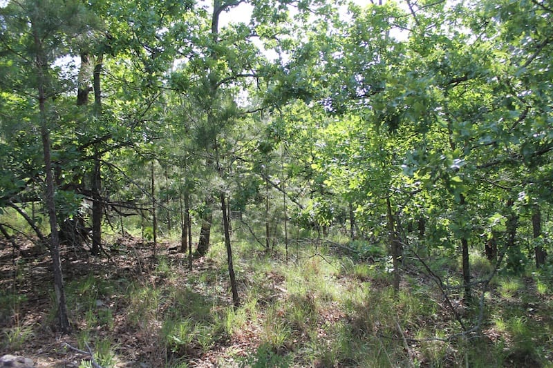 Indian Ridge – Phase II Tract 39 photo 5