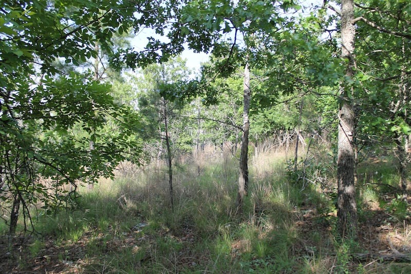 Indian Ridge – Phase II Tract 39 photo 7