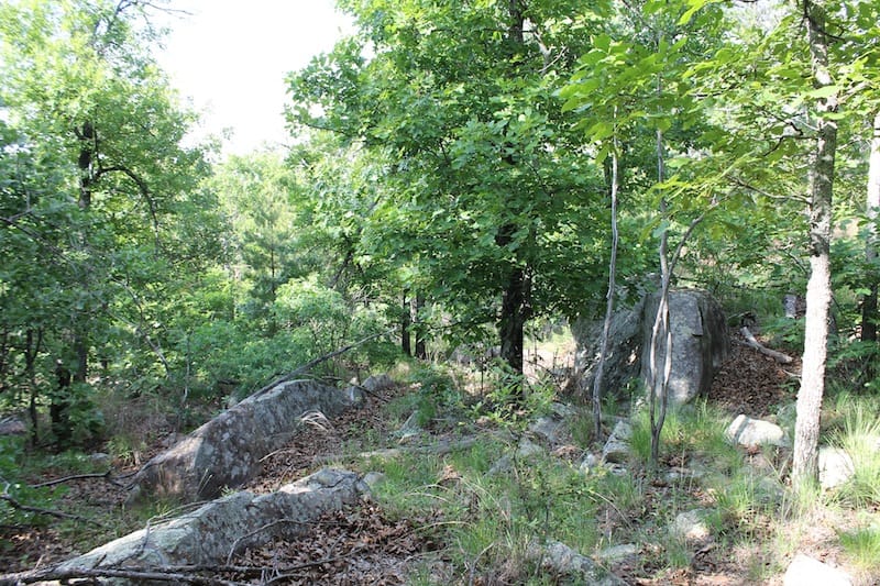 Indian Ridge – Phase II Tract 39 photo 9