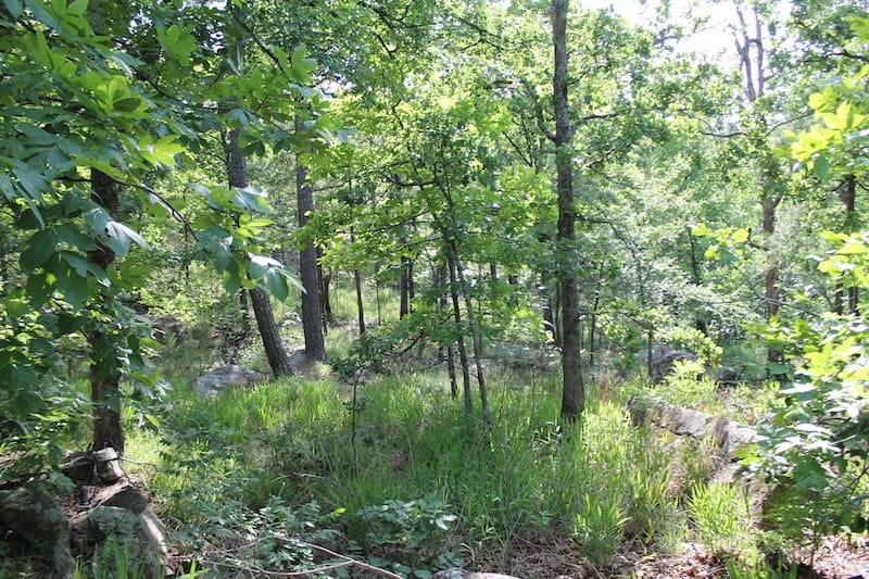 Indian Ridge – Phase II Tract 39 photo 10