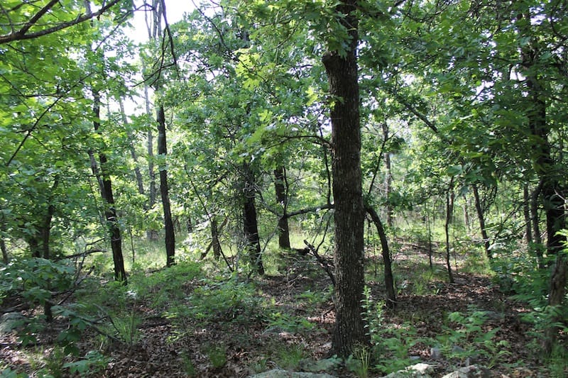 Indian Ridge – Phase II Tract 39 photo 11