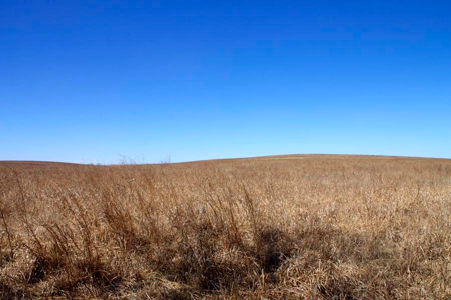 Cowboy Meadows Tract 12 photo 2