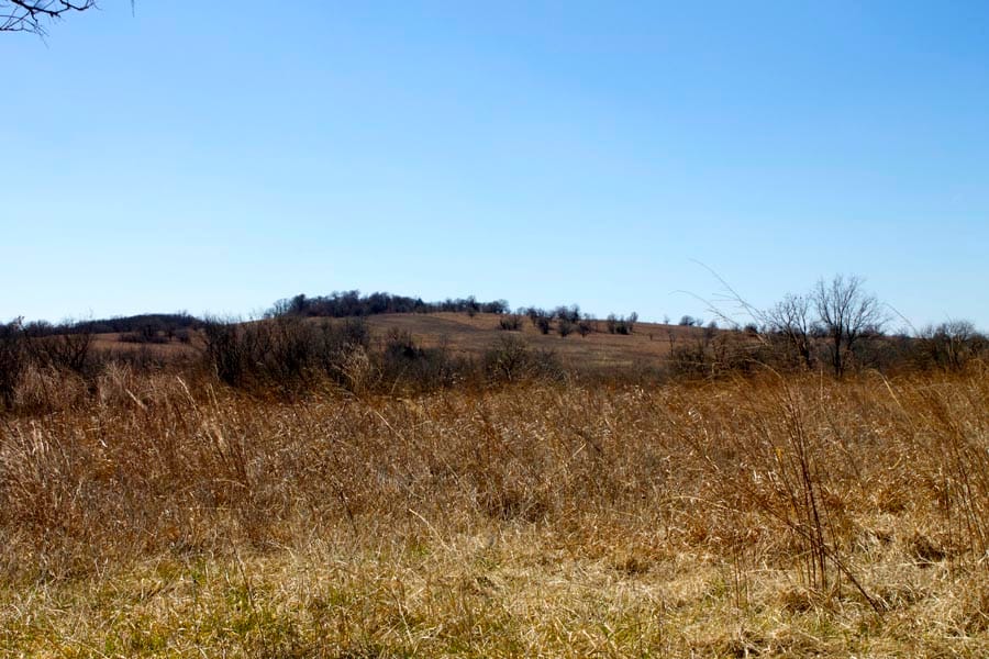 Cowboy Meadows Tract 12 photo 3