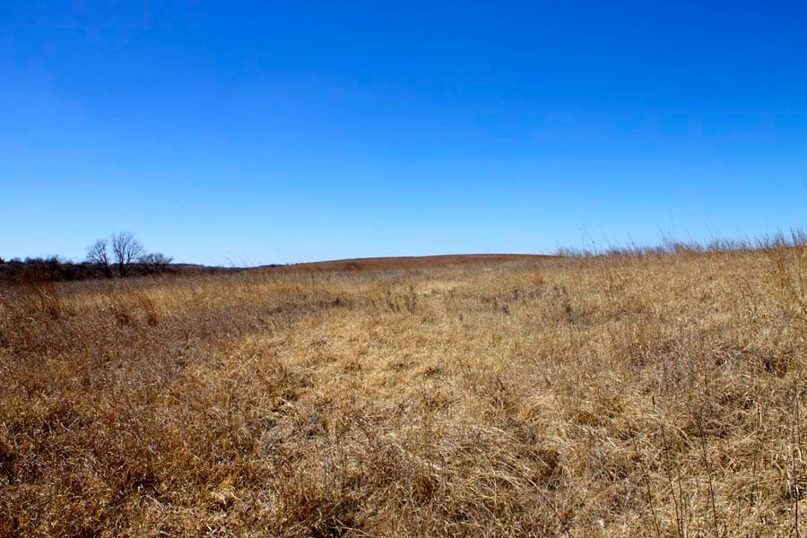 Cowboy Meadows Tract 12 photo 5